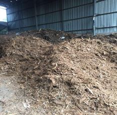 biomass fuel wood chip