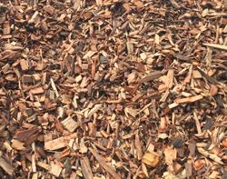 biomass wood waste