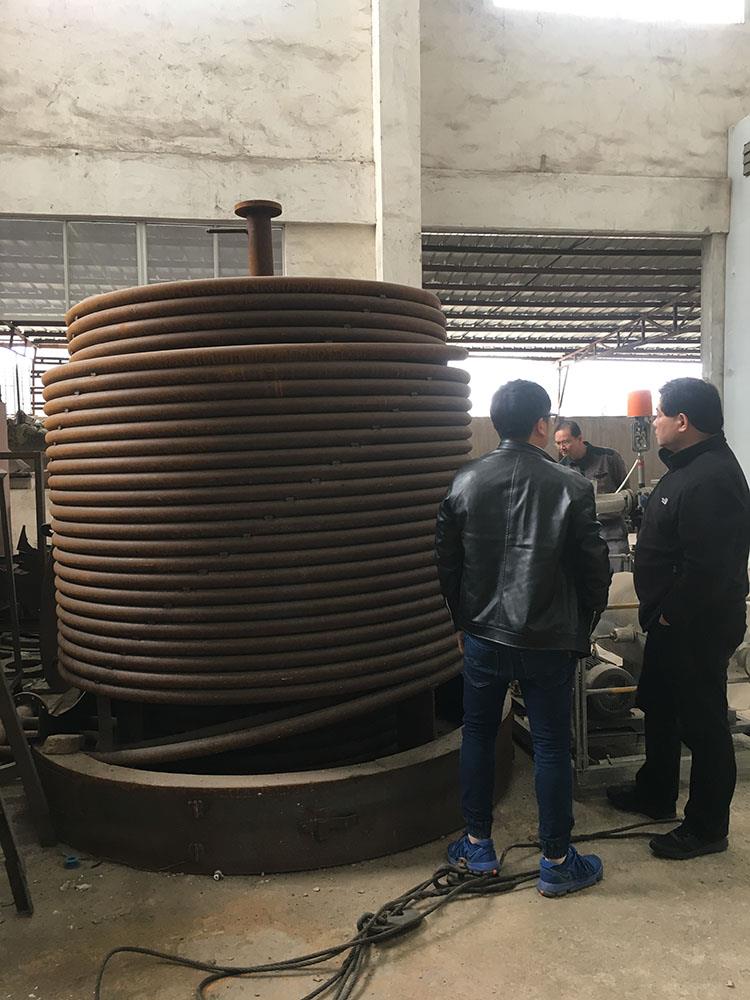 biomass gasifier burner