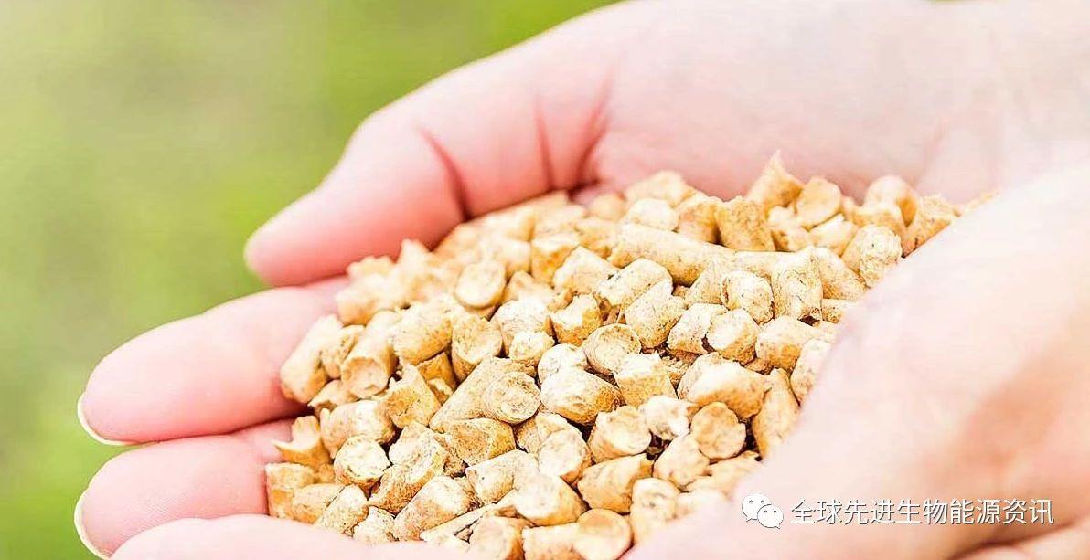 wood pellet