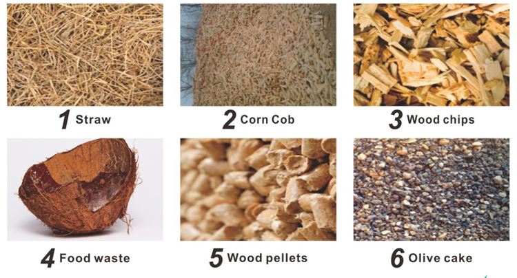 biomass fuels