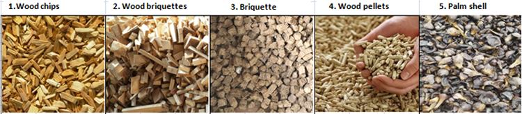 biomass fuels