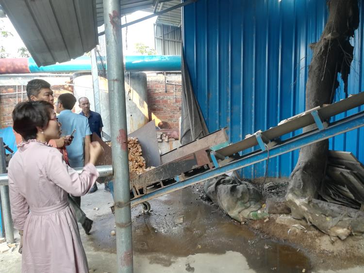 wood chips conveyor belt