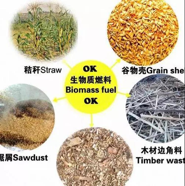 biomass fuels