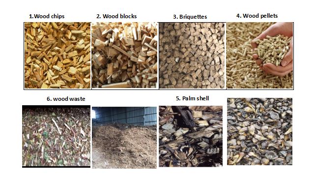 biomass fuels