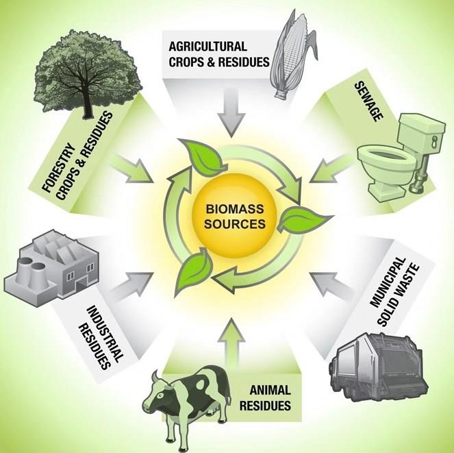 biomass sources