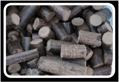 biomass briquette