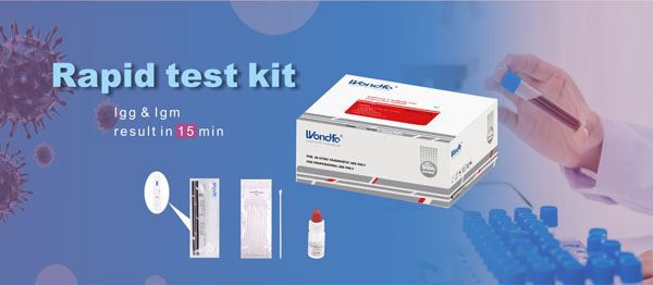 Rapid test kit