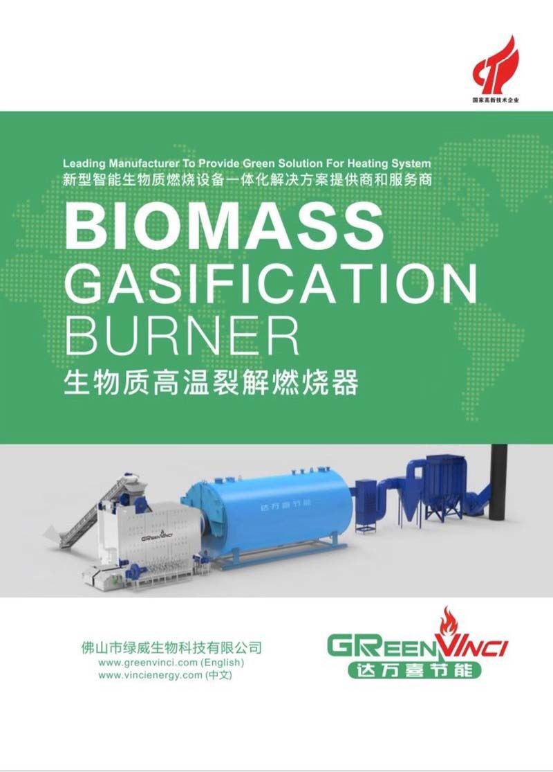 biomass heating system